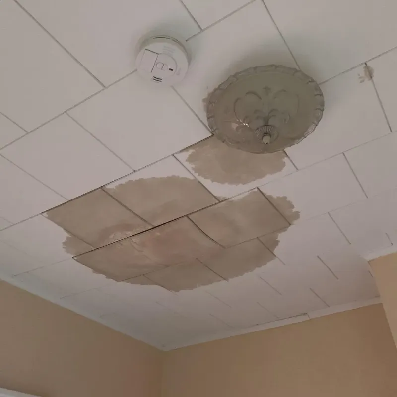 Ceiling Water Damage Repair in Battle Creek, MI