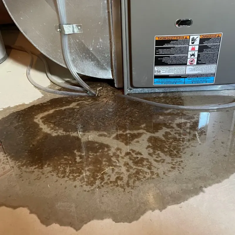 Pipe Burst and Leak Restoration in Battle Creek, MI